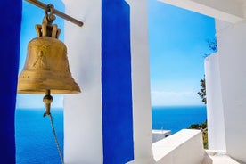 Deluxe Mykonos-tour voor cruisepassagiers