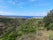 Recreational Forest Reserve of Valverde, Vila do Porto, Santa Maria, Azores, Portugal