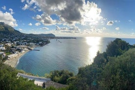 Ischia Island Small Group Tour by Minibus