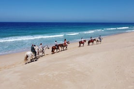 Ridning på Melides Beach