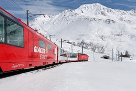 바젤에서 출발하는 1일 프라이빗 투어로 Glacier Express 파노라마 기차 왕복 여행