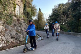 Det essensielle til Nice av elektrisk scooter 1H30