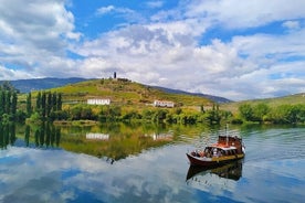 Premium Douro Valley Wine Tasting with a Local