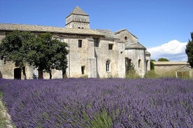 Tour Saint Rémy de Provence y Les Baux de Provence