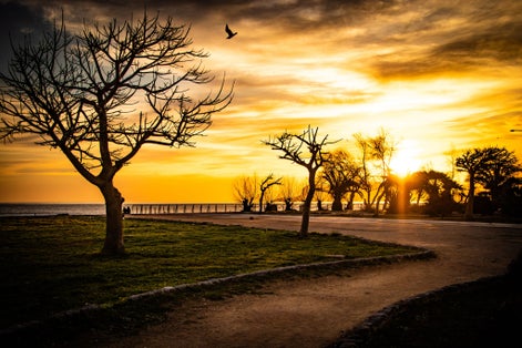 photo of view Gorgeous sunrise at the Foro Italico in Palermo, Sicily, Italy.