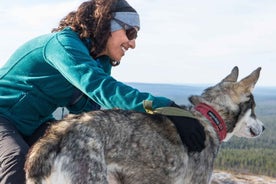 Rovaniemi: Klukkutíma Husky Ævintýri