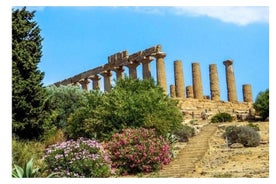 Tour Privato di Una Giornata di Agrigento e di Piazza Armerina