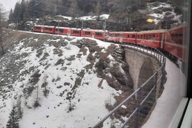 From Milan: Scenic Alps Day Trip with Bernina Train Ride