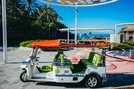 Tour duplo de Tuk Tuk na Costa Adeje