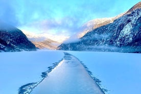 Private Ice-bathing yacht cruise to the Fjords