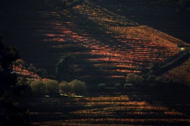 Déjeuner et dégustation de vins dans la région de la vallée du Douro