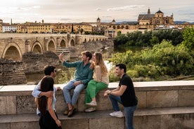 Upgrade di Cordoba e Mezquita-Cattedrale da Malaga con il treno veloce