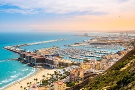 Excursion privée sur la côte d'Alicante avec visite du château