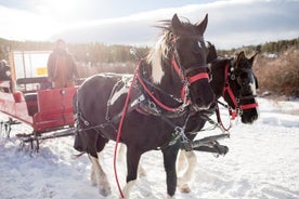 Julhestdraget Sleigh Ride fra Salzburg