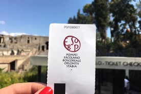 Skip-the-Line Ticket for Herculaneum Ruins