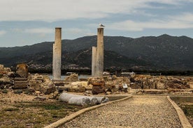 Tour archeologico di Nora