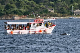 Passeio de barco com observação de golfinhos ao pôr do sol em Pula com jantar