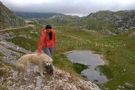 Private Tour durch den Durmitor NP - Zwischen Katuns, Hirten und geologischen Wundern