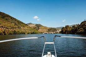 Douro River Cruise - Private Flusskreuzfahrt - Pinhão 1 Stunde