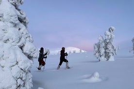 Snowshoeing in Pallas-Yllästunturi National Park