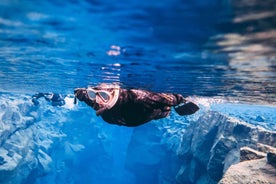 Silfra: Snorkeling Tour Between Tectonic Plates