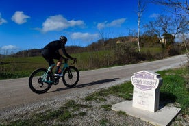 Chianti Adventure E-bike tour rental