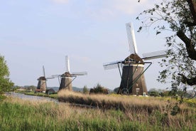 Delft and Volendam: Cheese, Clogs & Windmills (Small Group)