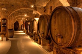 Primitivo and Negroamaro wine tour: a visit to two wineries and typical lunch. From Lecce