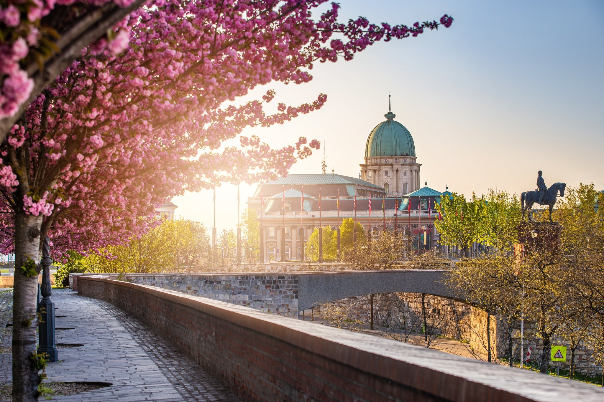 Buda Castle in Spring.jpg