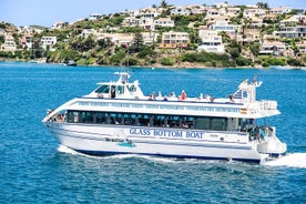 Excursion en bateau d'une heure autour du port de Mahón