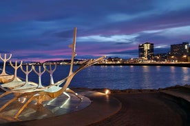 Reykjavik Hidden gems - Private - Half Day tour - with local