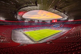 FC Bayern Munich Allianz Arena Tour and Panoramic Munich Tour