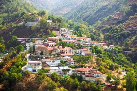 Frá Paphos: Troodos-fjöllin og þorpsferð með leiðsögn