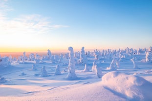 Riisitunturi National Park