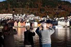 Bergen: rondleiding per minibus met lokale gids en fotostops