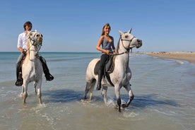 Bodrum: Horseback Riding Experience