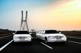 Wroclaw: 1-Hour Limo Party Tour & Club Entrance