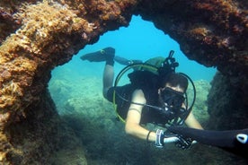 Baptême de plongée avec identification des espèces à Las Canteras