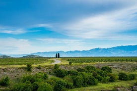 Heils dags einkarekin Podgorica vínferðaupplifun