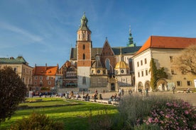 Leiðsögn um Wawel kastala og dómkirkju