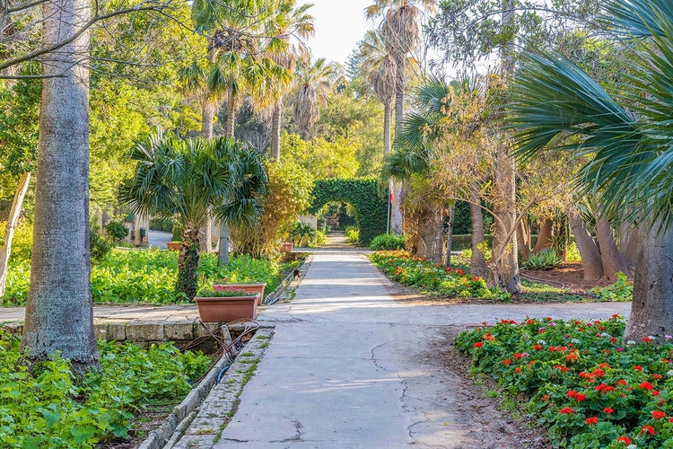 San Anton Gardens - Malta