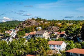 Photo of aerial view of the city of Larvik in Norway.