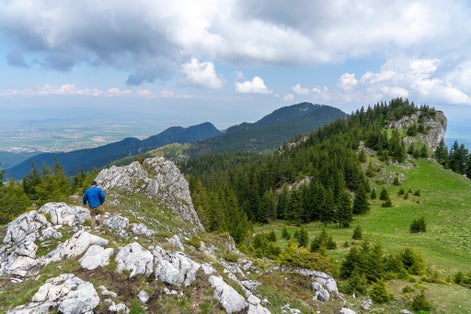 Photo of Picture of a mountain stream or creek flowing between rocks in Carpathian Mountains, Romania. Seven ladders canyon in Piatra Mare (Big Rock)mountains.
