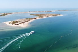 Excursion en bateau de 2 heures à Ria Formosa