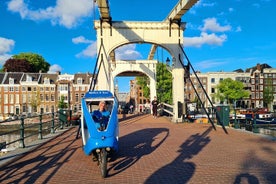 Tour della città di Amsterdam Pedicab (2 ore)