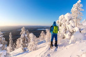 Rovaniemi: Göngu- og snjóskóaeferð í Lapplandi