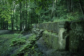 Berchtesgaden-Obersalzberg privat halvdags historisk rundtur från andra världskriget