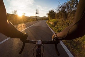 Tour in E-Bike e degustazione di vini in Toscana da Firenze