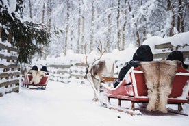 Rovaniemi: Husky Garður og Hreindýra Býli Samsetning