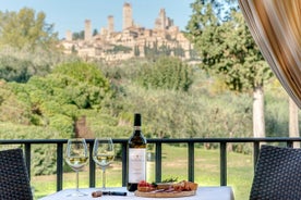 Wine Tour con pranzo e degustazione di vini